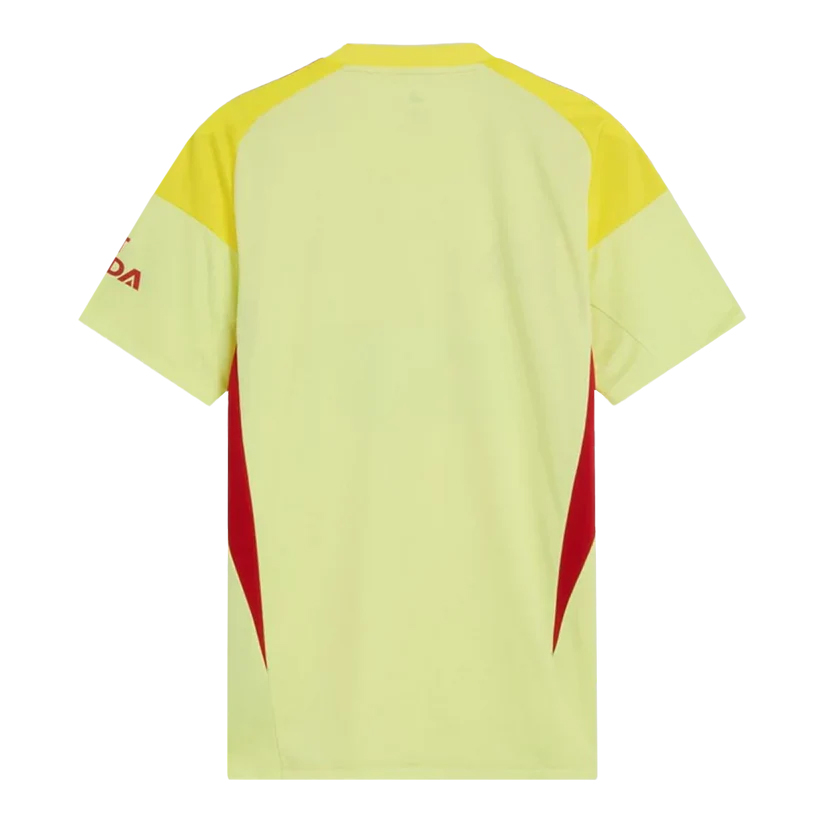 Arsenal Goalkeeper Soccer Jersey 202526 Yellow (1)