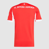 Bayern Munich Soccer Jersey Home Custom Shirt 2025/26 Jersey